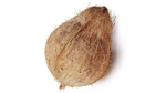 semi-husked-coconut.png